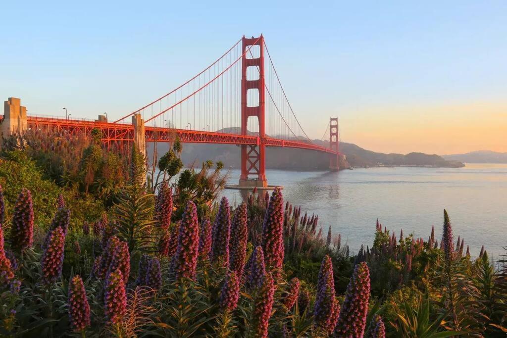 Modern Lux , 4Br 3Ba, 30 Or More Days Only South San Francisco Extérieur photo